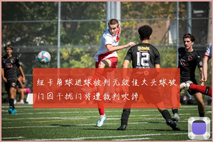 纽卡角球进球被判无效佳夫头球破门因干扰门将遭裁判吹掉