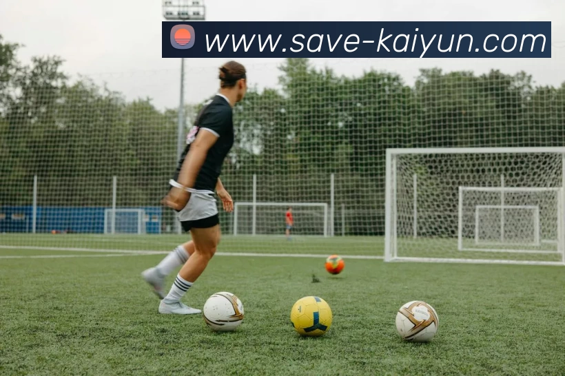 开云体育平台生态图