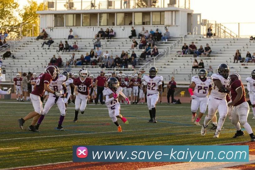 数据防护可视化